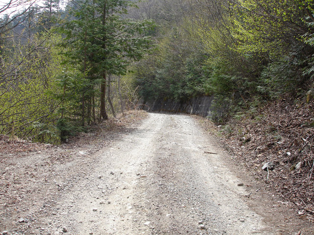 ����X�ѓS��,�ѓS,�p����,����a�ѓ�