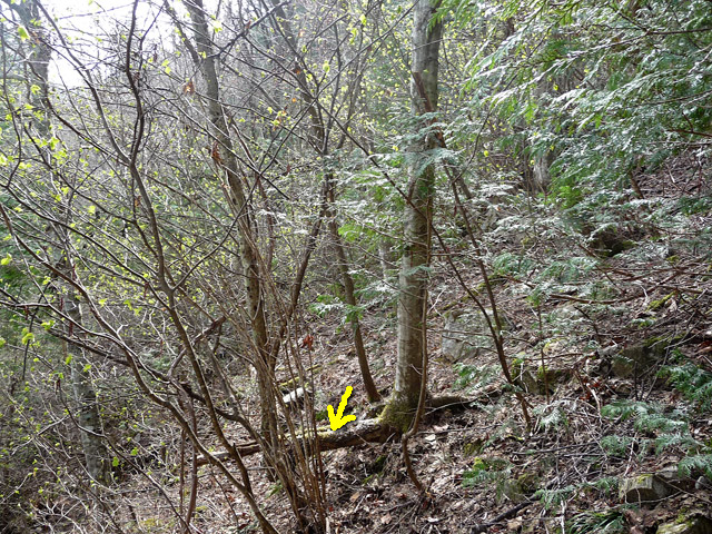 �ؑ]�X�ѓS��,����ѓS,�p����,����,����