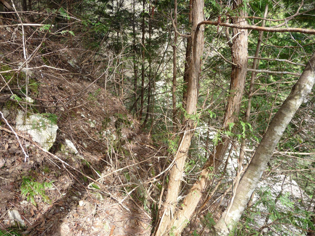 �ؑ]�X�ѓS��,����ѓS,�p����,����