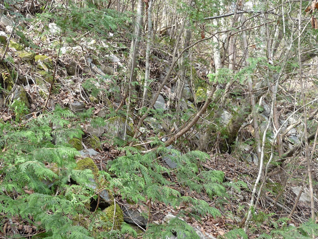 �ؑ]�X�ѓS��,����ѓS,�p����,�Ί_