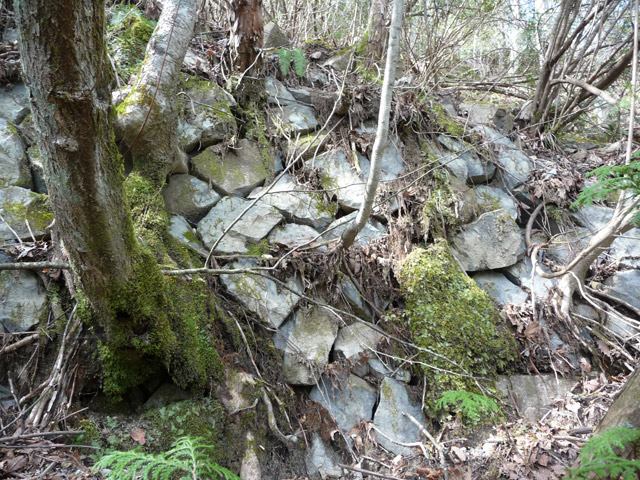 �ؑ]�X�ѓS��,����ѓS,�p����,�Ί_