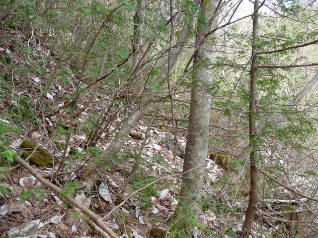 �㏼�c�я�,����X�ѓS��,�ѓS,�p����