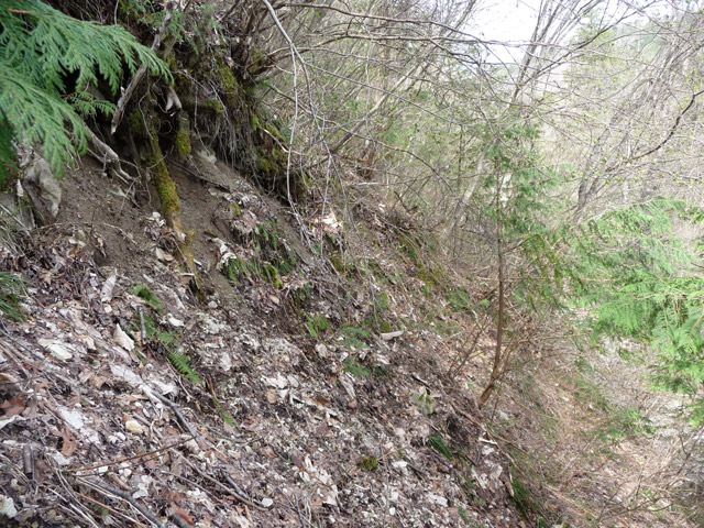 �㏼�c�я�,����X�ѓS��,�ѓS,�p����