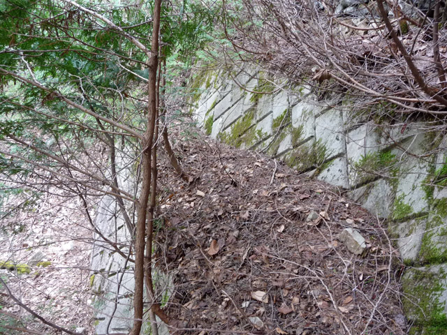 �㏼�c�я�,����X�ѓS��,�ѓS,�p����