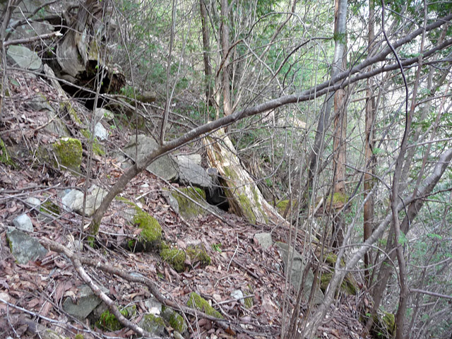 �㏼�c�я�,����X�ѓS��,�ѓS,�p����