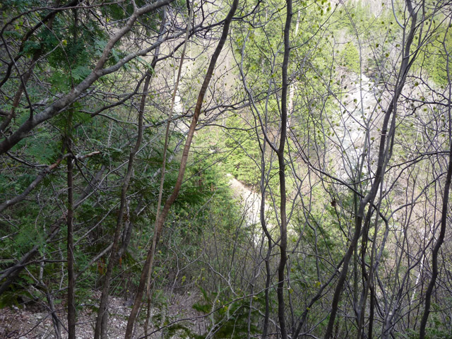 �㏼�c�я�,����X�ѓS��,�ѓS,�p����,����a�ѓ�