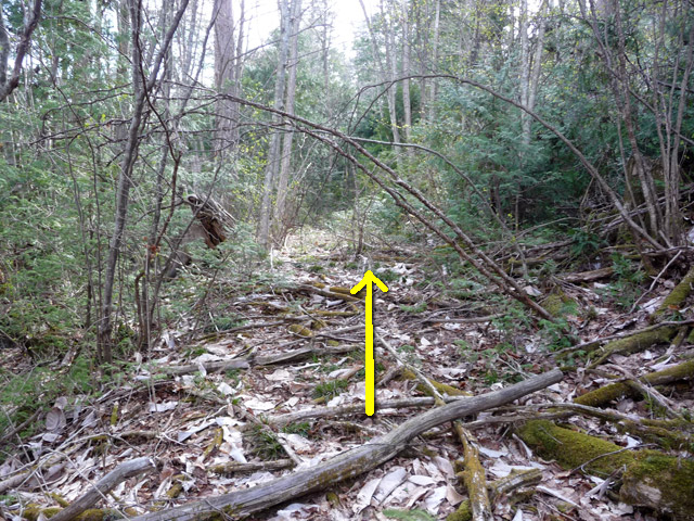 ����,����X�ѓS��,�ѓS,�p����