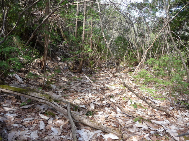 ����,����X�ѓS��,�ѓS,�p����