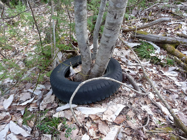 ����,����X�ѓS��,�ѓS,�p����