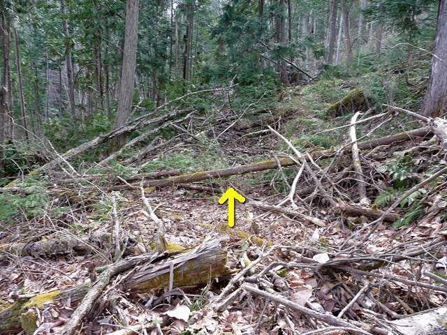 ����,����X�ѓS��,�ѓS,�p����