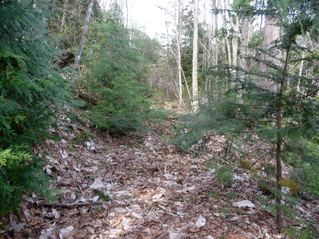 ����,����X�ѓS��,�ѓS,�p����