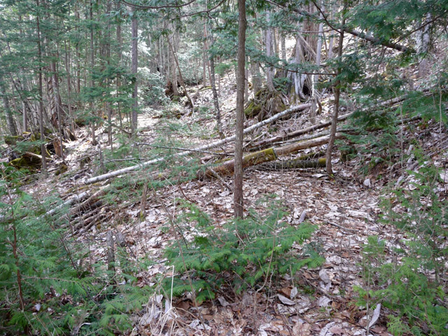 �㏼�c�я�,����X�ѓS��,�ѓS,�p����