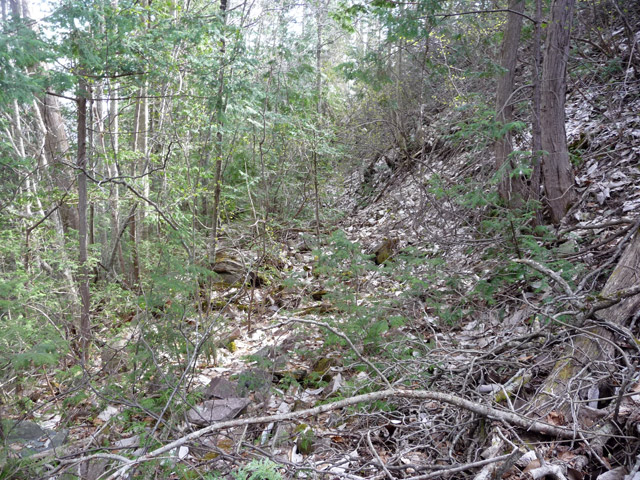 �㏼�c�я�,����X�ѓS��,�ѓS,�p����