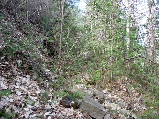 �㏼�c�я�,����X�ѓS��,�ѓS,�p����