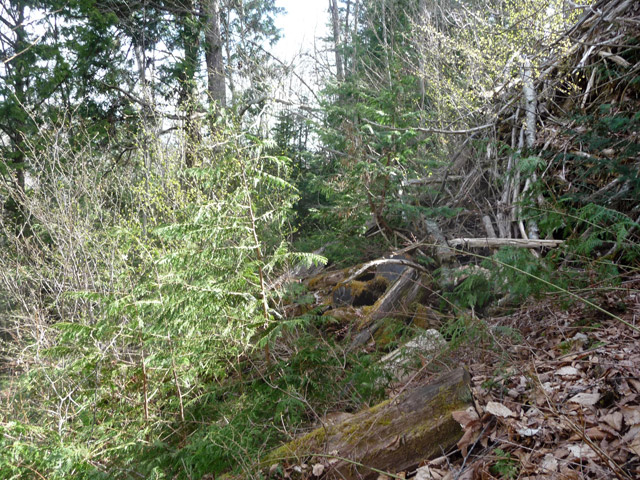 �㏼�c�я�,����X�ѓS��,�ѓS,�p����