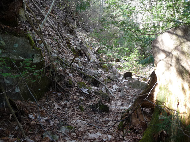 �w�A�s���J�[�u,����X�ѓS��,�ѓS,�p����