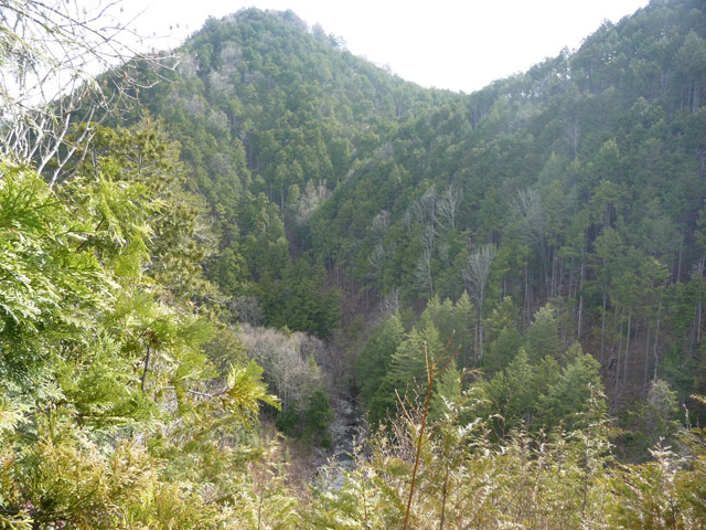 �w�A�s���J�[�u,����X�ѓS��,�ѓS,�p����