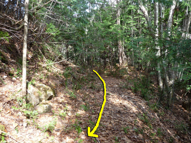 �w�A�s���J�[�u,����X�ѓS��,�ѓS,�p����