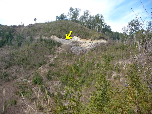 �ѓ�,����X�ѓS��,�ѓS,�p����