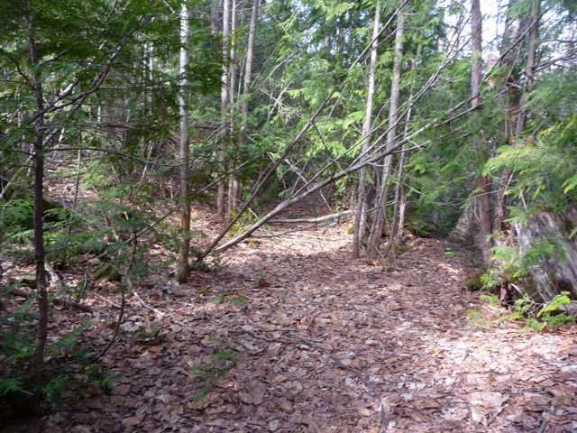 �ؑ]�X�ѓS��,�ѓS,�p����,�����