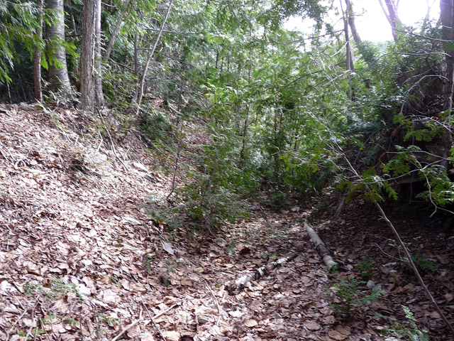 �ؑ]�X�ѓS��,�ѓS,�p����,�����