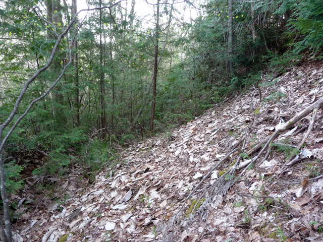 �ؑ]�X�ѓS��,�ѓS,�p����,�����