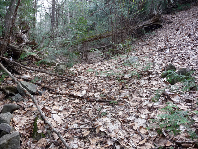 �ؑ]�X�ѓS��,�ѓS,�p����,�����