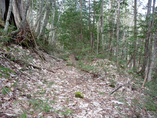 �ؑ]�X�ѓS��,�ѓS,�p����,�����