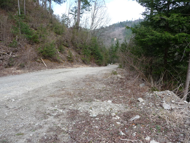 ����X�ѓS��,�ѓS,�p����,����a�ѓ�������