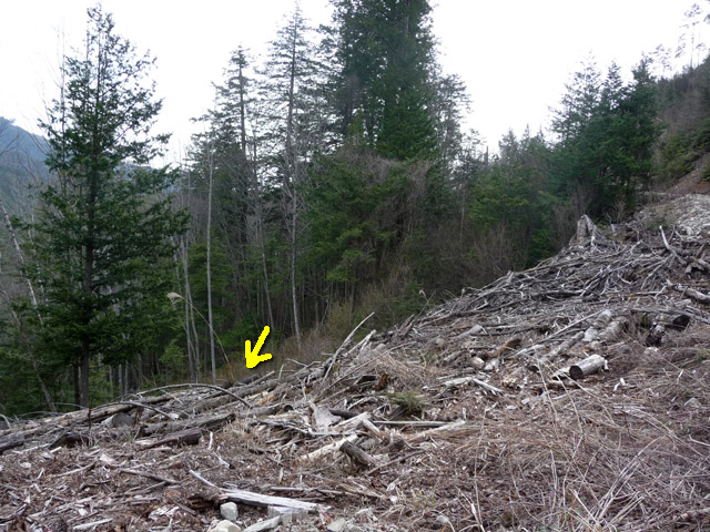 ����X�ѓS��,�ѓS,�p����,����a�ѓ�������