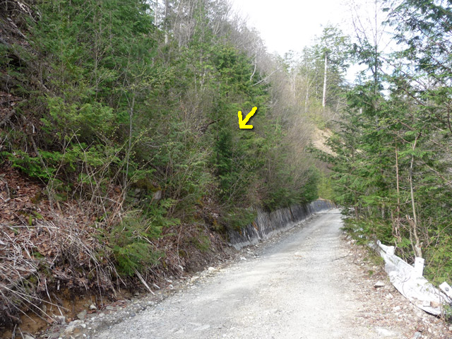 ����X�ѓS��,�ѓS,�p����,����a�ѓ�������