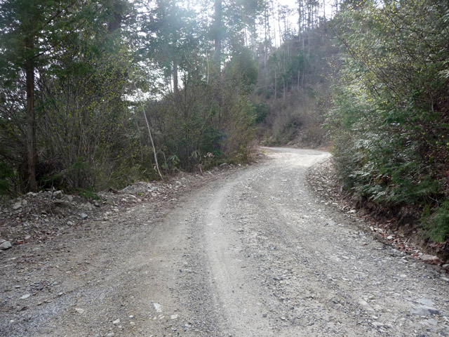 ����X�ѓS��,�ѓS,�p����,����a�ѓ�������