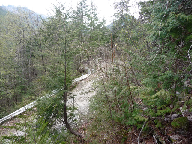 ����X�ѓS��,�ѓS,�p����,����a�ѓ�������