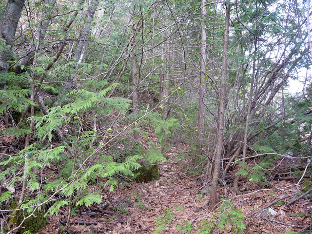 �ؑ]�X�ѓS�������,�ѓS,�p����,�O����,�H��