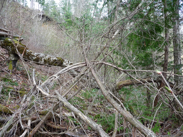 �ؑ]�X�ѓS�������,�ѓS,�p����,�O����,�H��