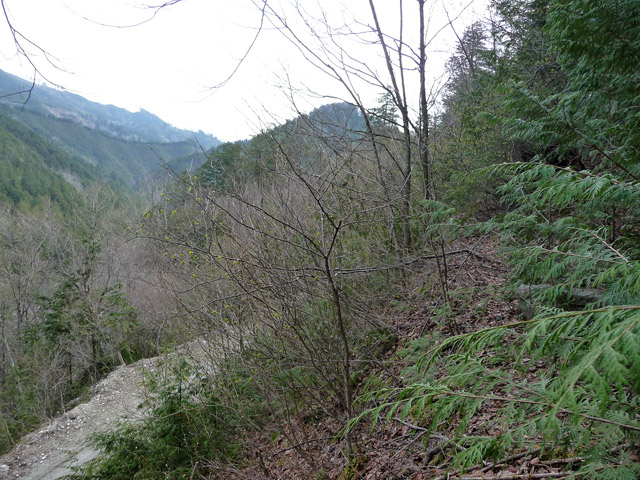 �ؑ]�X�ѓS�������,�ѓS,�p����,�O����,�H��