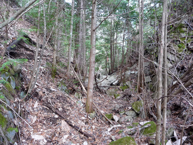 ����X�ѓS��,�ѓS,�p����,�ؑ],�O����