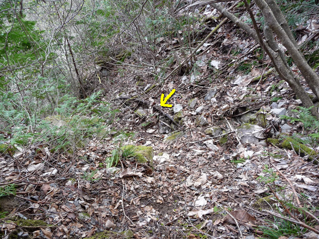 ����X�ѓS��,�ѓS,�p����,�ؑ],�O����,���[��