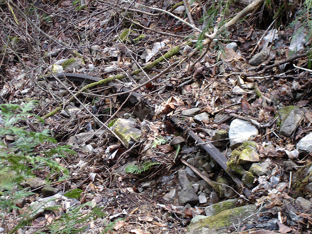 ����X�ѓS��,�ѓS,�p����,�ؑ],�O����,���[��