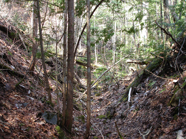 ����X�ѓS��,�ѓS,�p����,�ؑ],�O����