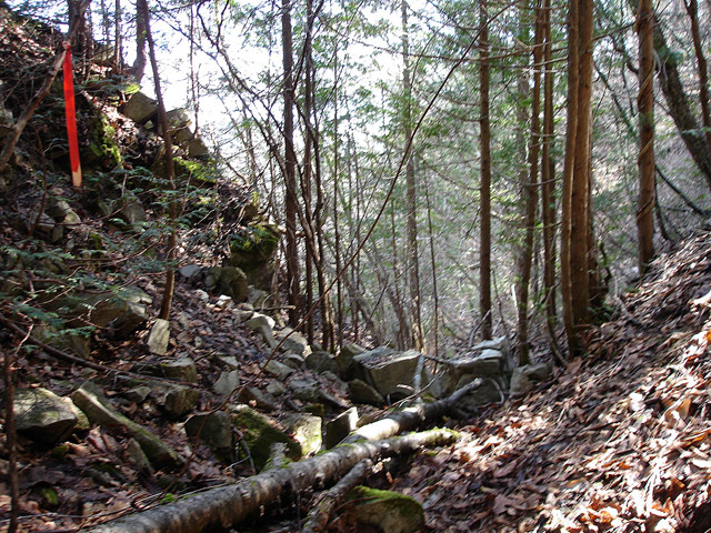 ����X�ѓS��,�ѓS,�p����,�ؑ],�O����