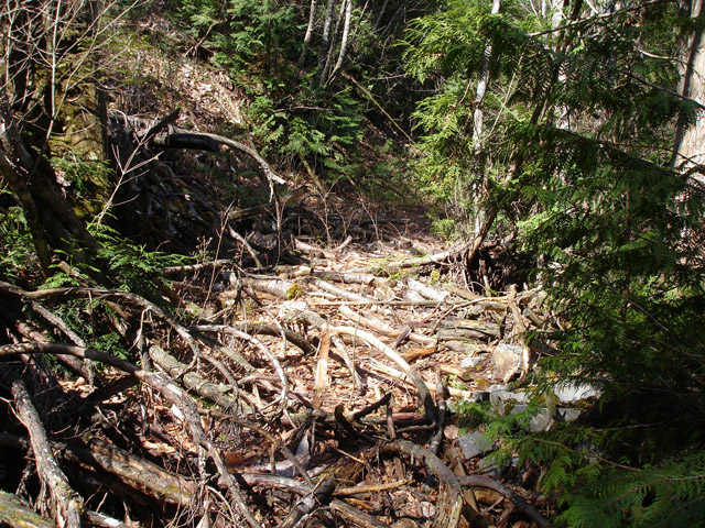 ����X�ѓS��,�ѓS,�p����,�㏼�c�я�,�O����