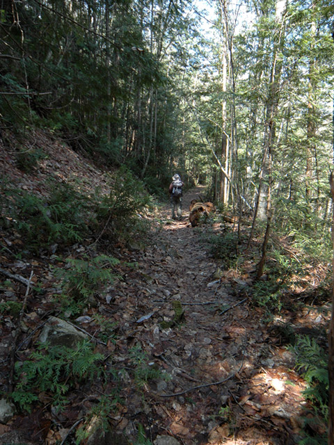 ����X�ѓS��,�ѓS,�p����,�㏼�c�я�,�O����