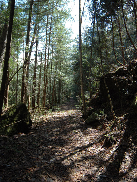 ����X�ѓS��,�ѓS,�p����,�㏼�c�я�,�O����