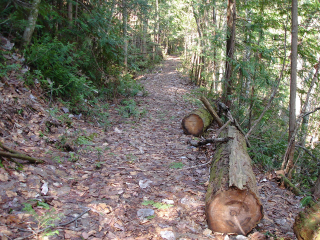 ����X�ѓS��,�ѓS,�p����,�㏼�c�я�,�O����