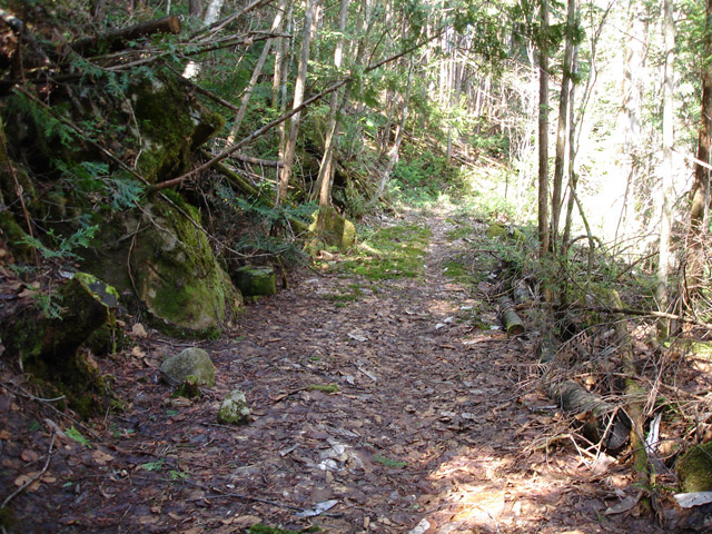 ����X�ѓS��,�ѓS,�p����,�㏼�c�я�,�O����