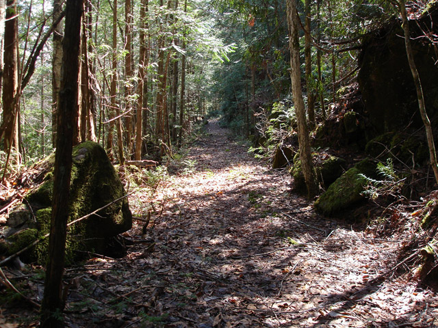 ����X�ѓS��,�ѓS,�p����,�㏼�c�я�,�O����