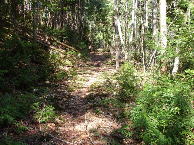 ����X�ѓS��,�ѓS,�p����,�㏼�c�я�,�O����