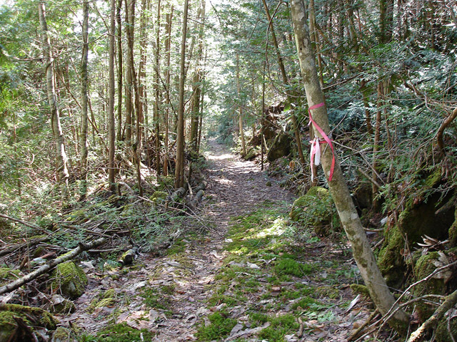 ����X�ѓS��,�ѓS,�p����,�㏼�c�я�,�O����