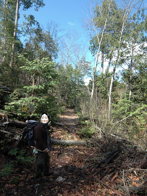 ����X�ѓS��,�ѓS,�p����,�㏼�c�я�,�O����